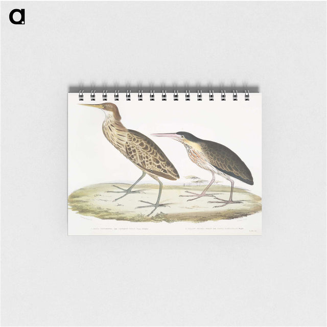 2-86_Indian-Zoology_memo