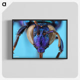 2-86_Insects-Unlocked-Project_blk-crop