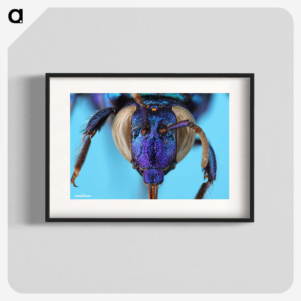 2-86_Insects-Unlocked-Project_blk