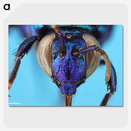 2-86_Insects-Unlocked-Project_picture-crop