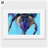 2-86_Insects-Unlocked-Project_picture