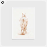 アートポストカード-Standing horse - ジャン ベルナール Postcard.
