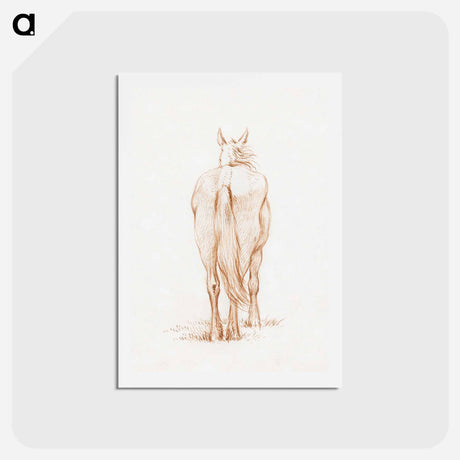 アートポストカード-Standing horse - ジャン ベルナール Postcard.