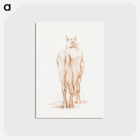 アートポストカード-Standing horse - ジャン ベルナール Postcard.