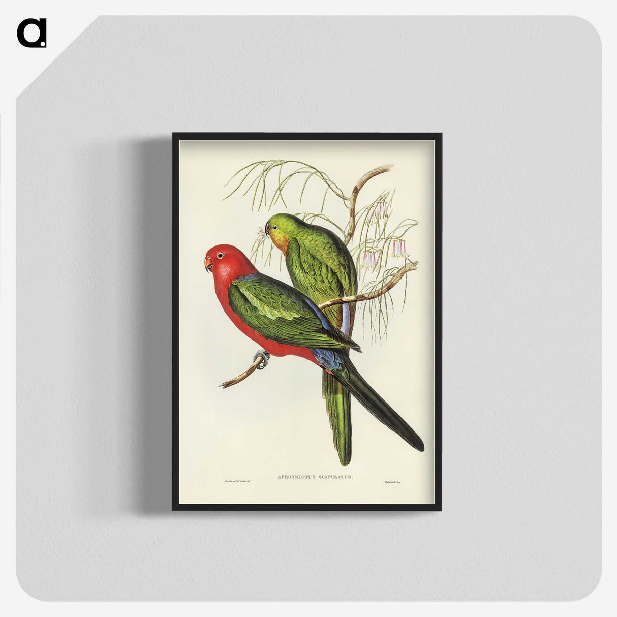 2-86_John-Gould_blk-crop