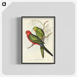 2-86_John-Gould_blk-crop
