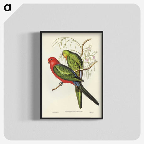 2-86_John-Gould_blk-crop