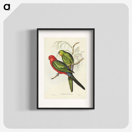 2-86_John-Gould_blk