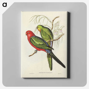 2-86_John-Gould_canvas