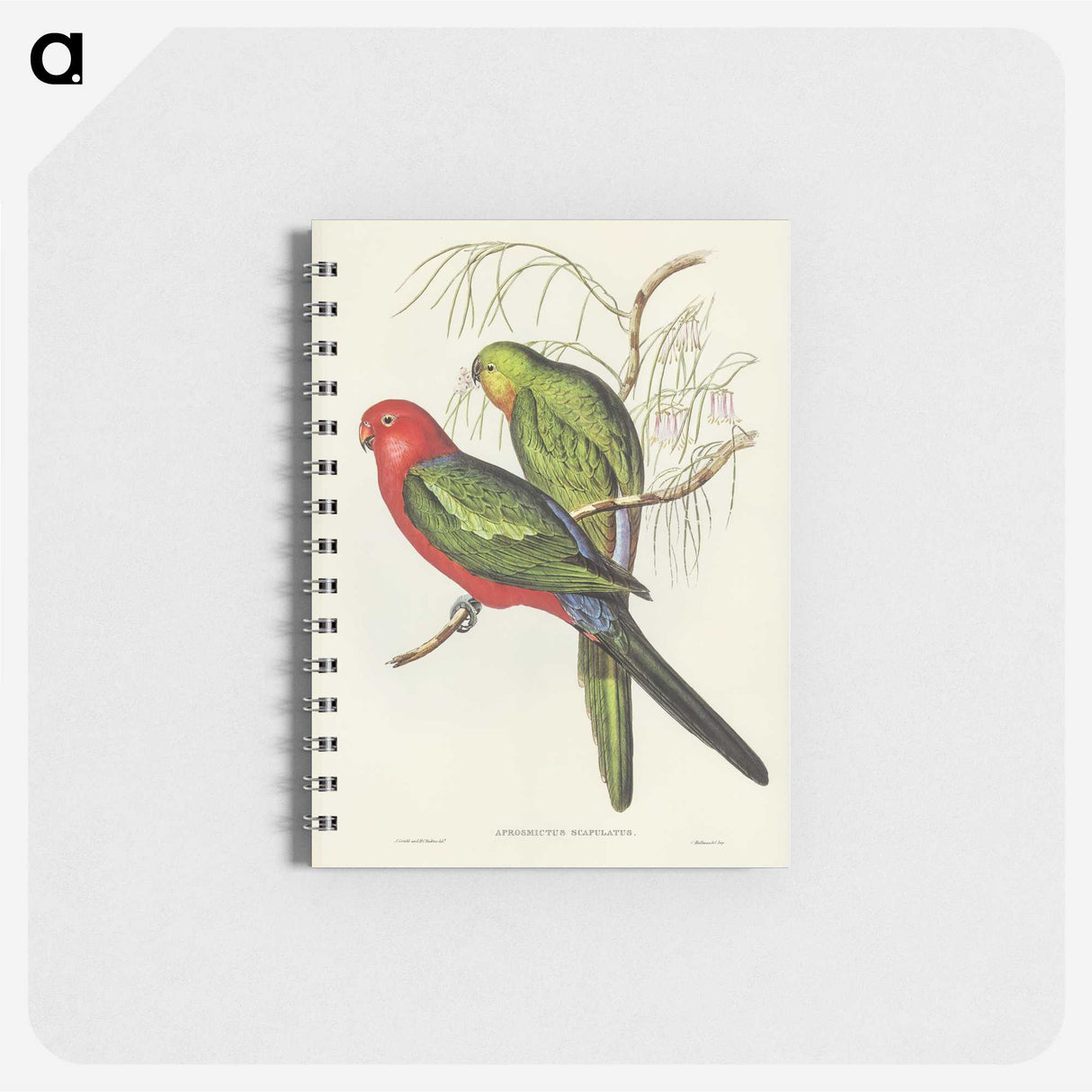 2-86_John-Gould_memo