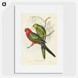 2-86_John-Gould_picture