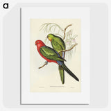 2-86_John-Gould_picture