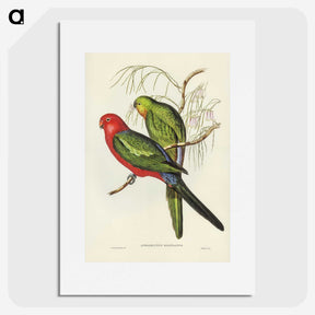 2-86_John-Gould_picture