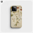 2-86_Maria-Sibylla-Merian_phone