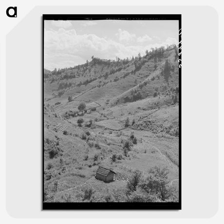 2-86_Marion-Post-Wolcott_picture-crop