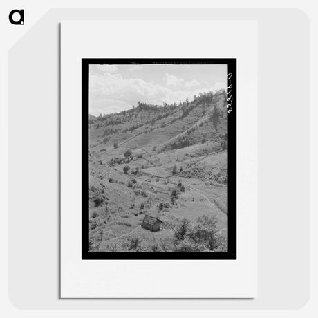 2-86_Marion-Post-Wolcott_picture