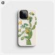 2-86_Mary-Vaux-Walcott_phone