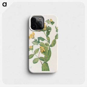 2-86_Mary-Vaux-Walcott_phone