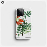 Mountain ash - ピエール ジョゼフ ルドゥーテ Phone Case.