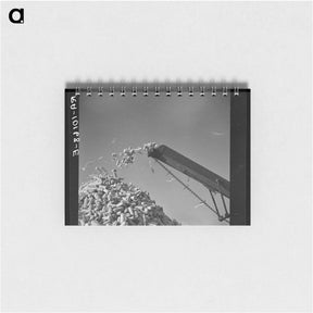 アートメモ帳-Jersey Cows at Dairy
 - ラッセル リー Memo.