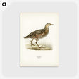 2-86_Svenska-Faglar_postcard