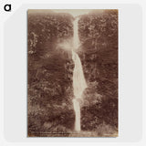 2-86_The-Burton-Brothers_picture-crop