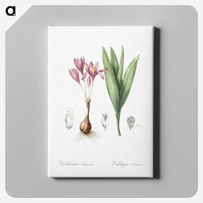 2-86_The-Lilies_canvas