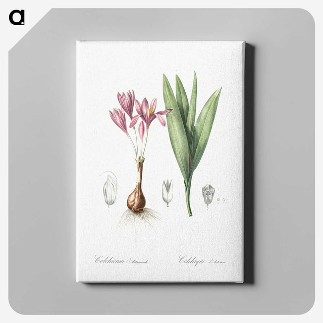 2-86_The-Lilies_canvas
