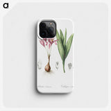 2-86_The-Lilies_phone