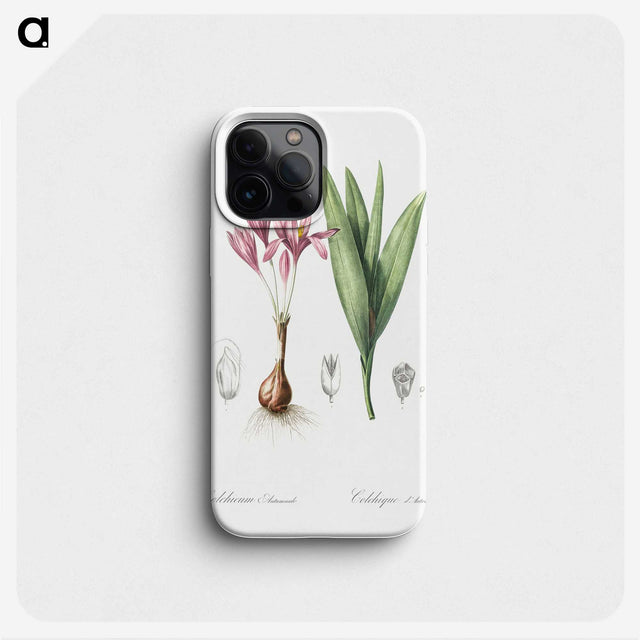 2-86_The-Lilies_phone