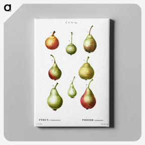 2-86_Treatise-on-Trees-and-Shrubs_canvas