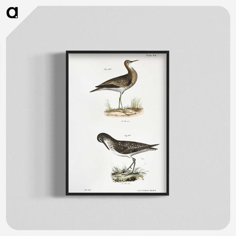 2-86_Zoology-of-New-York_blk-crop
