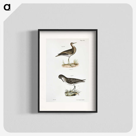 2-86_Zoology-of-New-York_blk