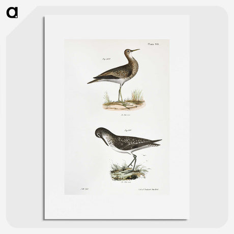 2-86_Zoology-of-New-York_picture