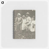 2-87_Alfred-Stieglitz_memo