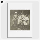 2-87_Alfred-Stieglitz_picture