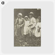 2-87_Alfred-Stieglitz_postcard