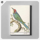 2-87_Anselmus-Boetius-de-Boodt_canvas