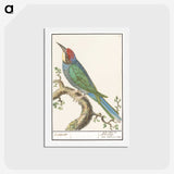 2-87_Anselmus-Boetius-de-Boodt_hagaki
