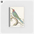 2-87_Anselmus-Boetius-de-Boodt_memo