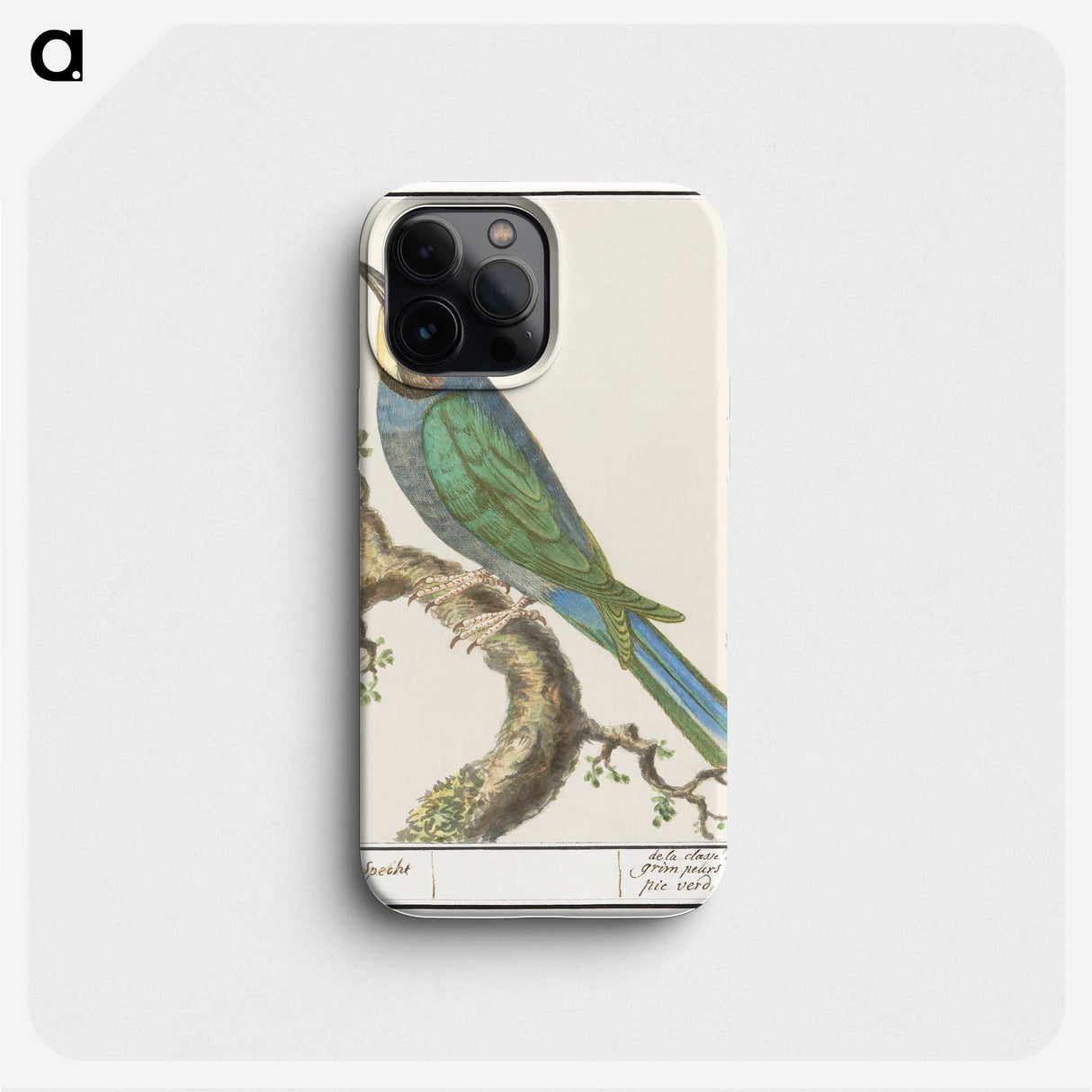 2-87_Anselmus-Boetius-de-Boodt_phone
