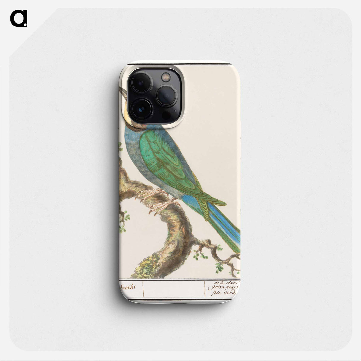 The European bee-eater - アンセルムス ボエティウス デ ブート Phone Case.