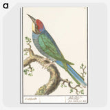 2-87_Anselmus-Boetius-de-Boodt_picture-crop