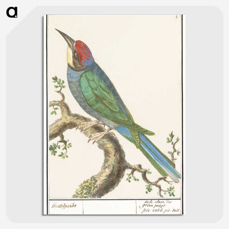 2-87_Anselmus-Boetius-de-Boodt_picture-crop