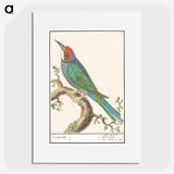 The European bee-eater - アンセルムス ボエティウス デ ブート Poster.