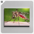 2-87_COVID-19_canvas