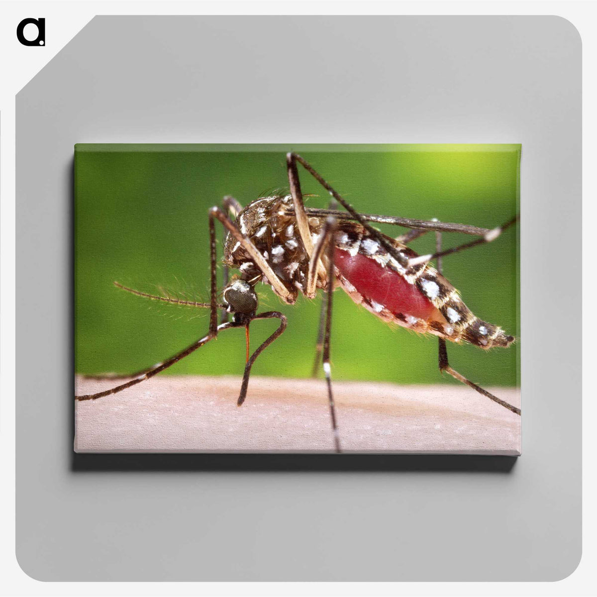 2-87_COVID-19_canvas