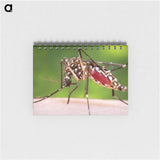 2-87_COVID-19_memo