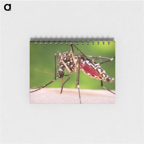 2-87_COVID-19_memo