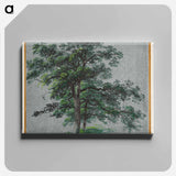 アートパネル-Two Trees and Tree Studies
 - クリーブランド美術館 Canvas.